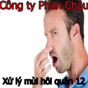 Xử lý mùi hôi quận 12 cách xử lý uy tín, giá rẻ Bh 5 năm
